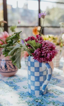 Checker Water Jug
