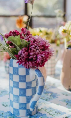Checker Water Jug