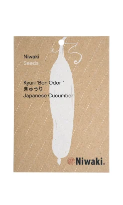 Japanese Cucumber Seeds
