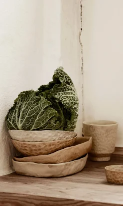 Noshi Bowls