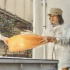 Orange Enormous Leaf Pan