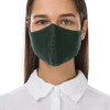 Organic Linen Mask Spruce
