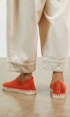 Tulip Shoes